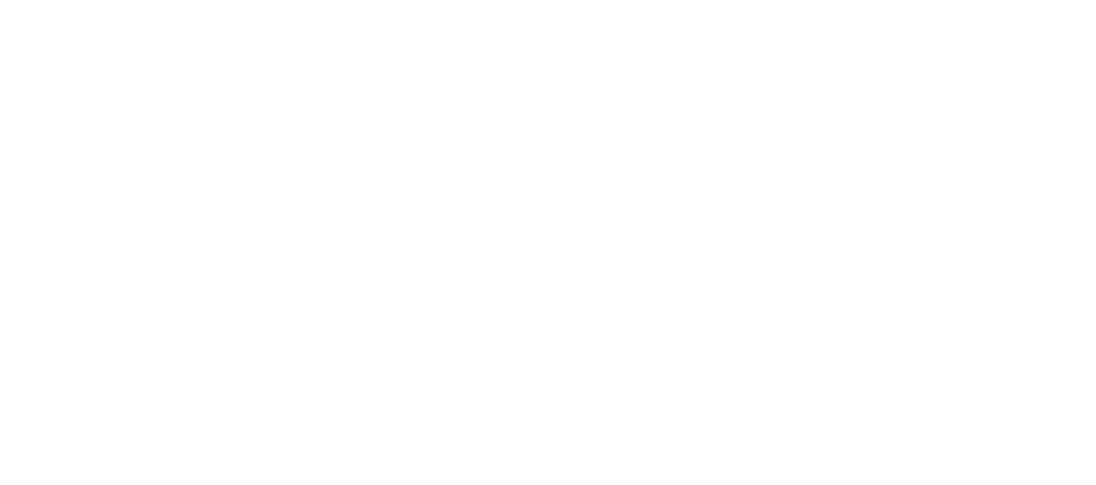 MarselNet
